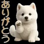 白いモフモフ～その名はサモエド！２