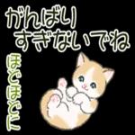 いいことたくさんありますように