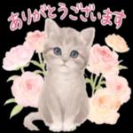 かわいらしい小さな花だ