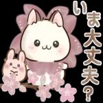 飛びだすにゃんチーノ♡春_-