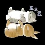 ずっとあなたを守ります😊😊😊