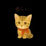 子猫のとらの日常スタンプ