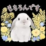 めっちゃ可愛い🫣🫣🫣