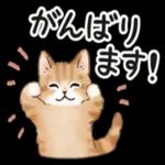使いやすい挨拶☆猫たちのスタンプ