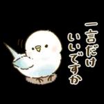 敬語が話せる！もふもふインコ