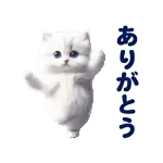 踊る！ペルシャ猫