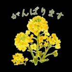 午後はちょっと休憩～～	前進の原動力😆😆😆