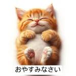 かわいい子猫がおはようございます
