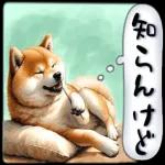 無理しないでね