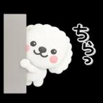 ず～っと使える♡かわいいトイプーさん♡白