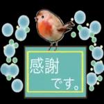 使える 小鳥の日常会話