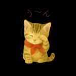 子猫のとらの日常スタンプ