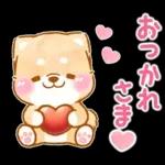 愛する人に感謝を送る❤️いやしばいぬ赤柴