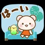 ホッキョクグマとインコの返事【夏】