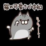 ニャー星人の楽園🤩🤩