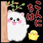 ポメラニアン❤️ぽちゃん「秋」