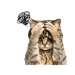 🔺噴火警戒！三宅島レベル2