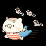 となりのにゃんこ　summer2022