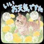 かわいらしい小さな花だ