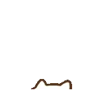 可愛く動くねこっち