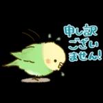敬語が話せる！もふもふインコ