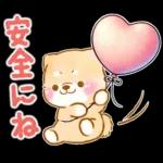 愛する人に感謝を送る❤️いやしばいぬ赤柴