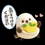 ぽってりシマエナガ団♡夏スタンプ