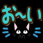 黒猫の気づかい大人デカ文字スタンプ