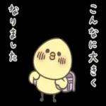アヒルの子のおみやげ🤒