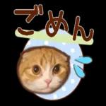 たれ耳ねこちゃん_見やすい！使いやすい♪