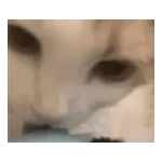 気持ちが伝わる日常メッセージ☆