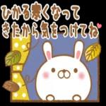 大好きなひかるに送る秋とハロウィン