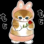 にゃんぱんつ_-_～