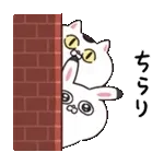 ねこちゃんとうさちゃんだもの