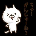 沖縄方言のゆるねこちゃん
