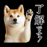 あと一日	金曜日だ！🤕