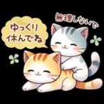 猫のつめあわせ【秋】