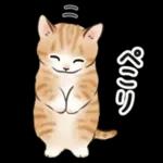 毎日☆猫たちのスタンプ