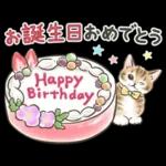 冬の毎日と年末年始☆猫たちのスタンプ