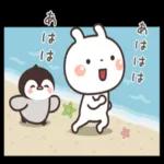 うさぎ＆ゆるぺんの夏