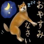 さすが！柴犬（よく使う言葉編２）