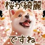 喜怒哀楽の激しい柴犬の野菜ダンス
