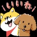 ご連絡いただき
ありがとう
ございます
^^