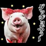 リアル☆メスブタ 3