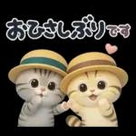 ねこちぃず♡夏スタンプ