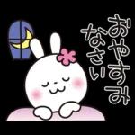 優しい2!!かわいい白うさぎ