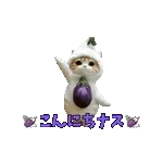 動く！踊るダジャレ猫ミーム！
