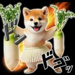 喜怒哀楽の激しい柴犬の野菜ダンス