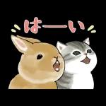 ずっとあなたを守ります😊😊😊