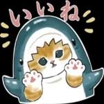 サメにゃん_----